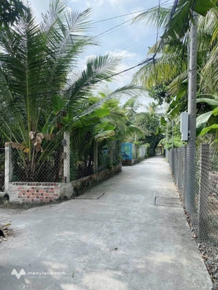Nhà mới rộng rãi giữa lòng Bến Tre cổ kính