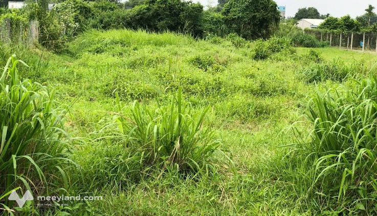 Chính chủ cần bán gấp đất vàng Trảng Bàng, cơ hội đầu tư không thể bỏ lỡ