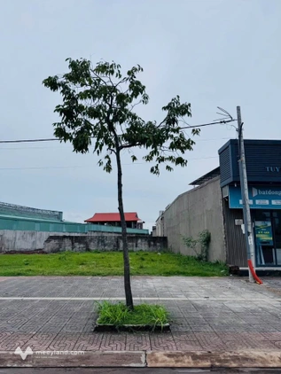 Bùng nổ lợi nhuận, mặt tiền kinh doanh Võ Văn Kiệt, Bà Rịa, chỉ 4,49 tỷ