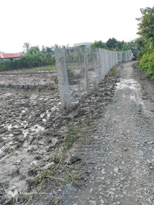 Đất 1000m2 Hòa Phú, Long An - Ngang 36m, oto vào tận nơi