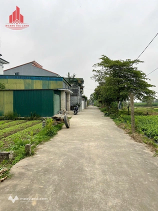 Đất Nghi Kim 89.7m2, ngõ rộng 4.5m, ô tô tránh nhau, giá 1 tỷ
