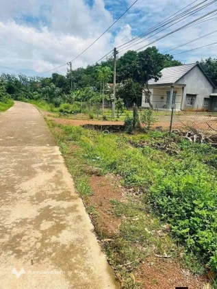 Điền viên Đồng Phú, nhà vườn xưa, giá bán vội