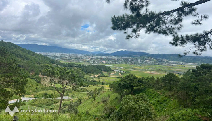 Bán nhanh đất đồi view đẹp 13000m2, cơ hội đầu tư sinh lời