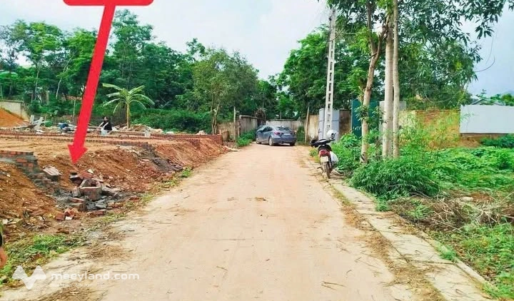 Đất Vàng Sơn Đồng 100m² sổ hồng sẵn sàng, giá hời