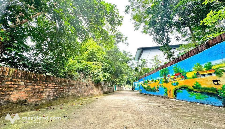 Đất 2 mặt tiền tại Hợp Châu, gần khu công nghiệp Tam Dương 2, đường 6m, giá tốt