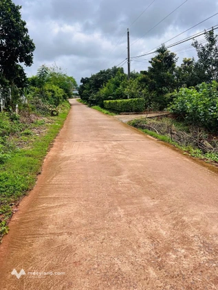 Đất view chill sát Đà Lạt, 1,300m², chỉ 1,1 tỷ, chốt ngay kẻo lỡ