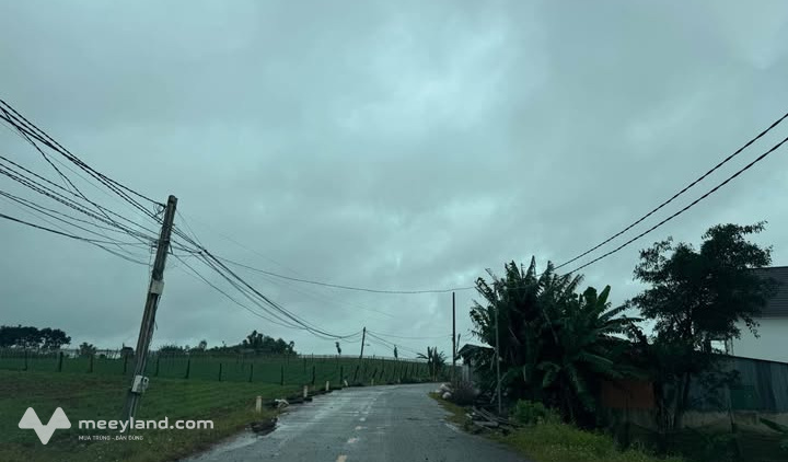 Đức Trọng 1 ha đất kho xưởng, đường xe công, gần sân bay, giá hấp dẫn