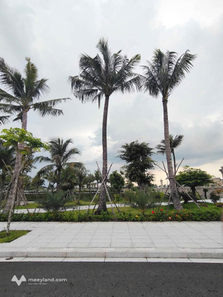 Bán đất nền biệt thự 192m², mặt tiền đường 12m, tại Tân An, Long An