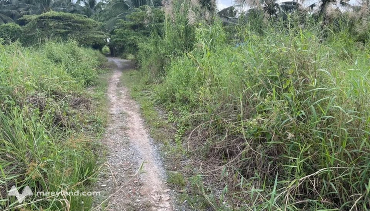 Đất Phú Tân sau lưng khu đô thị Hưng Phú, hẻm thông, diện tích 264m2, giá chỉ 550 triệu