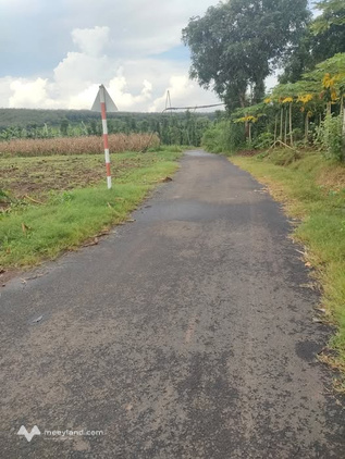 Đất nền Xuân Sơn, Châu Đức, 1 sào mặt tiền đường nhựa, sổ hồng riêng, giá 1,1 tỷ