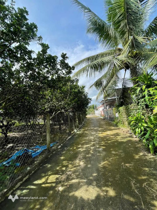 Bán đất vườn bưởi Diên Lâm, Nha Trang, 386m2 thổ cư, đường 5m ô tô
