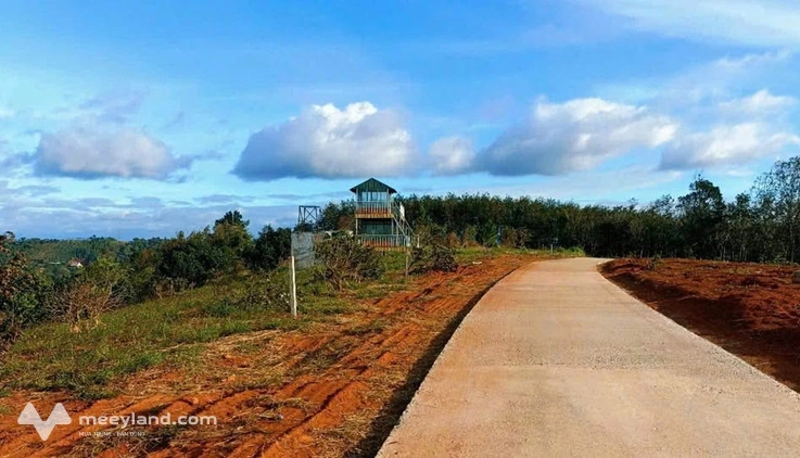 Bán gấp đất nền thổ cư Lâm Đồng, cơ hội đầu tư sinh lời vượt trội