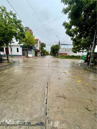 Bán đất thổ cư 100m2 khu Giàn Chiếu, Hợp Thịnh, Tam Dương, Vĩnh Phúc