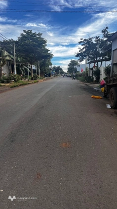 Đất mặt đường nhựa Lê Thị Hồng Gấm, Đức Trọng, kinh doanh đỉnh, giá hời