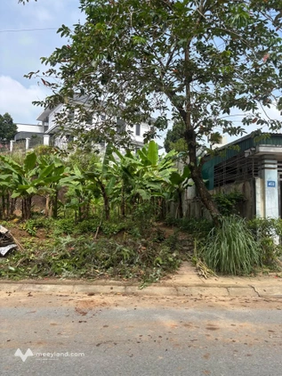 Đất vàng Yên Bái, mặt tiền 5m x 20m, kinh doanh bạt ngàn, giá hời hơn 2 tỷ