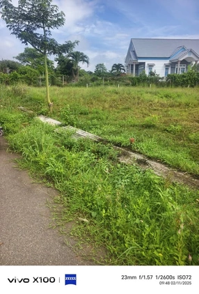 Chốt kèo đất Đá Bạc, Châu Đức giá sập sàn, chỉ 500 triệu