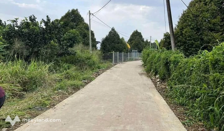 Đất vàng Phú Xuân, hơn 1,2 sào, mặt tiền rộng 30m, chỉ 820 triệu