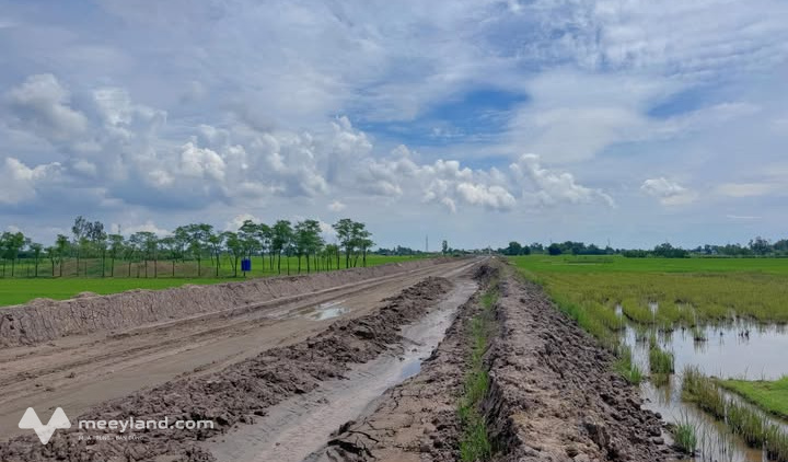 Đất vàng Gò Công, song mã mặt tiền TL864, diện tích rộng, giá hời