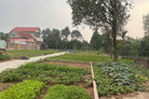 Nhỉnh 1 tỷ chốt ngay đất Vân Nam, Phúc Thọ