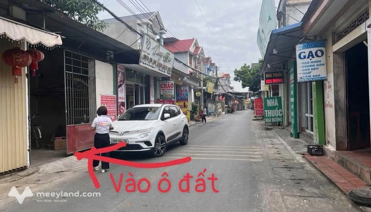 Bán đất TDP Tân Ngọc, Vĩnh Phúc, 168m2, mặt tiền rộng, tiềm năng tách thửa kinh doanh