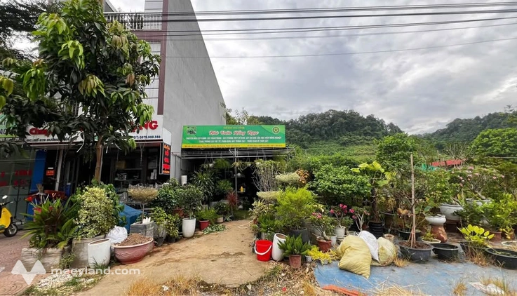 Đất vàng Hoàng Liên kéo dài, mặt tiền 5m, hướng Đông Bắc, ngay cổng chợ Châu Úy