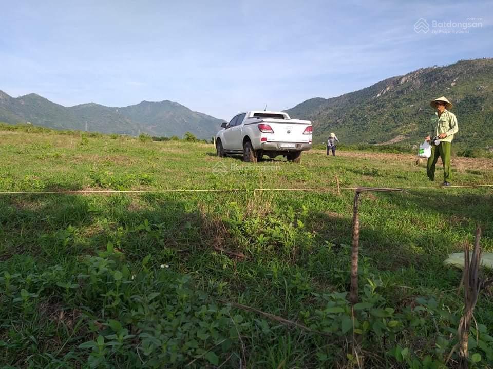 Chính chủ bán nhanh lô đất ninh tây, ninh hoà cách ql 26 1,5km, gần nút giao lên xuống cao tốc