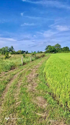 Bán đất mặt tiền rộng 46,23m tại xã Hàm Liêm, Lâm Đồng