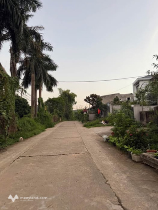 Đất vườn 8x40m tại T7 Hưng Thành, Tuyên Quang - Đường ô tô tránh nhau