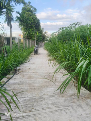 Bán đất Tịnh Ấn Tây cũ, Quảng Ngãi - Đường ô tô tới đất, giá 499 triệu