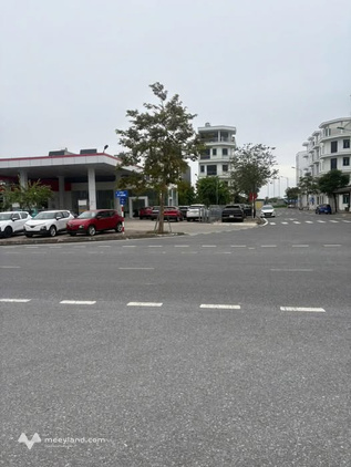 Đất Kỳ Đồng, Thái Bình, 56m2, hướng Đông Bắc, giá hời cho nhà đầu tư nhanh tay