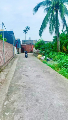 Bán đất An Thọ, Kiến Thụy, 118m2, mặt tiền 5,5m, đường thông thoáng