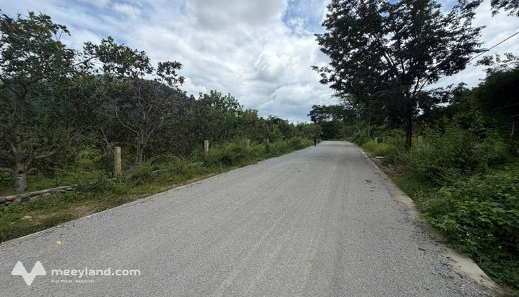 Đất 1,1 ha mặt tiền đường nhựa 67m, Lâm Đồng, làm trang trại hay trồng cây cổ thụ, tùy bạn