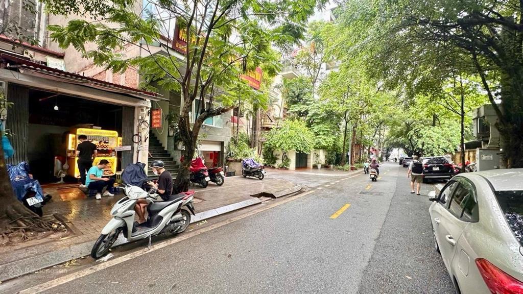 Hiếm! mặt phố nguyễn văn ngọc 55m2, 28,2 tỷ sổ vuông không lỗi phong thủy