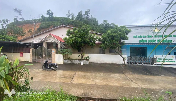 Đất Trần Bình Trọng 100m² ODT, ngõ ô tô tránh, giá hời