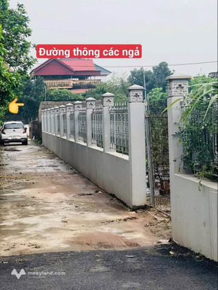 Đất vàng 250m² thổ cư xịn xò tại Vĩnh Tuy, Văn Giang - Cơ hội đầu tư sinh lời