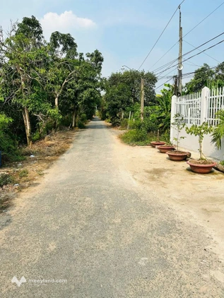Bán nhà cấp IV kiên cố, 292,5m² đất thổ cư tại Phường Mỹ Ngãi, Đồng Tháp