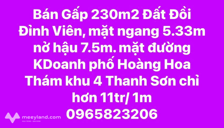 Đất vàng Hoàng Hoa Thám - Mặt tiền kinh doanh, nở hậu đón tài lộc