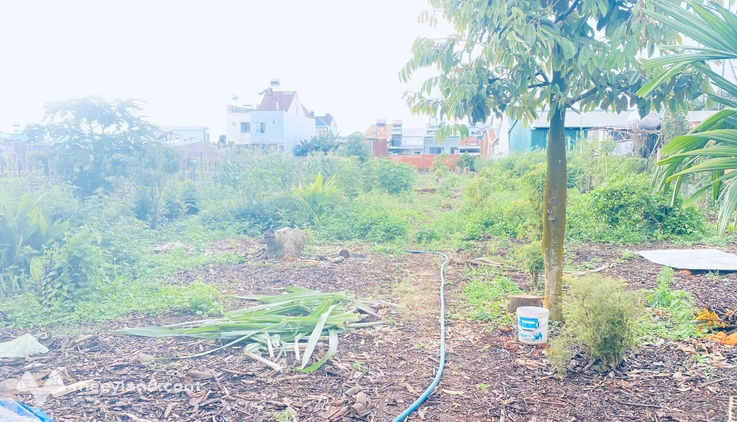 Đất víp mặt tiền Trần Bình Trọng, trung tâm Đức Trọng, Lâm Đồng