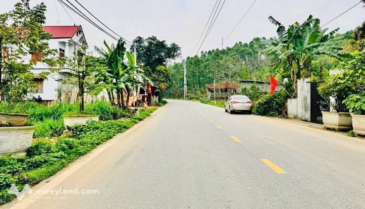 Đất kinh doanh trục chính Trại Diễn, Vĩnh Phúc, 100m2, mặt tiền 5,3m, giá hời