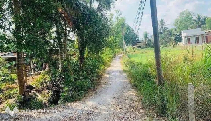 Đất lúa Long An giá rẻ bất ngờ, ô tô tới tận nơi