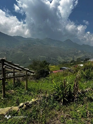 Đất Sapa view Mường Hoa 1500m², cơ hội đầu tư sinh lời