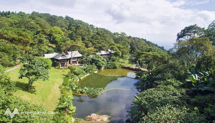 Đất Ba Vì bám suối, view thơ, ô tô tới tận nơi, giá hời hơn 9 triệu/m²