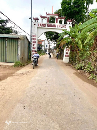 Đất vàng Hát Môn, Phúc Thọ, 115m² sổ đỏ chính chủ, tiềm năng sinh lời bùng nổ