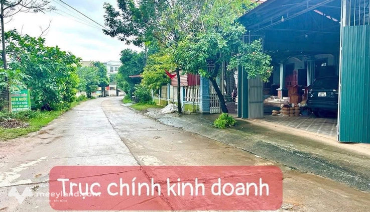 Đất vàng Thanh Vân, Tam Dương, nơi an cư lý tưởng, kinh doanh phát đạt