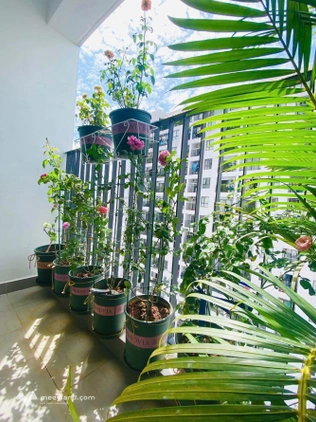 M-ONE Quận 7 căn hộ 2 phòng ngủ, full nội thất xịn sò, sổ hồng sẵn, giá 5,2 tỷ