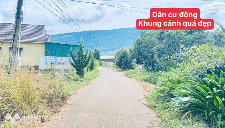Đất hẻm nhựa thông Quốc Lộ 20 và cao tốc, Hiệp An cũ, Đức Trọng, Lâm Đồng