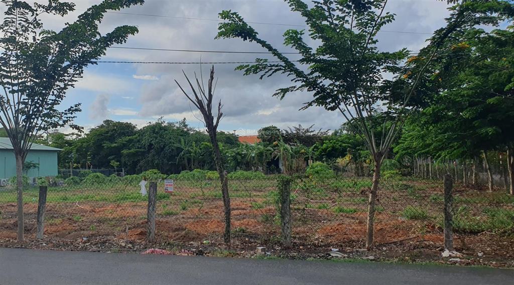 Bán lô đất 15x40m (100m2 thổ cư) cách quốc lộ 55 khoảng 200m, gần trung tâm chợ bưng riềng