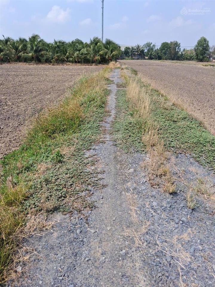 Bán rẻ đất 4983m2 giá 1.3tr/m2 xã tân nhựt