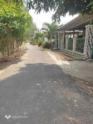 Đất vườn dừa an cư lạc nghiệp - Mỹ Hòa, Tháp Mười, Đồng Tháp