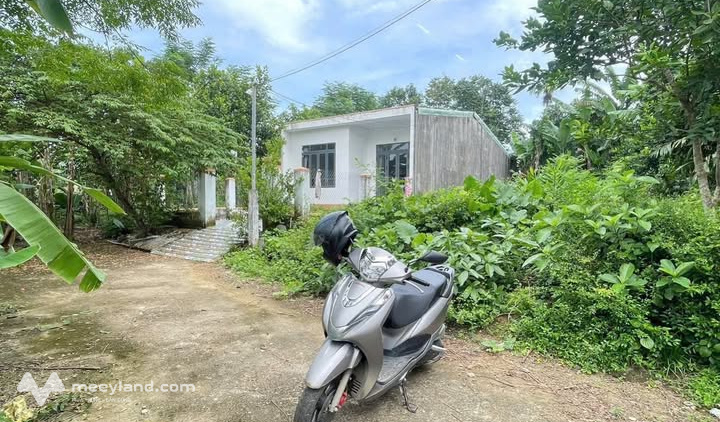 Đất Phước Hưng 188m2, ngang 7m, sổ sẵn, giá chỉ 1 tỷ